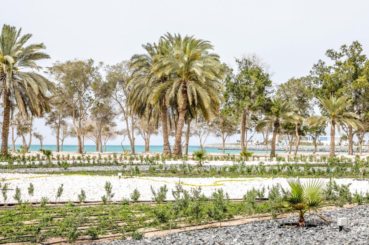 Dhafra Beach Hotel - Pet Friendly Jebel Dhanna Exterior foto